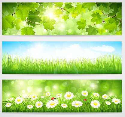 Green spring leaves banners set vector 02 spring leaves green banners   