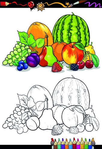 Color with sketch Fruit and vegetables vector 03 vegetables vegetable sketch fruit   