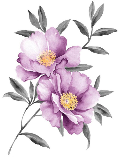 Purple peony watercolor vector watercolor purple Peony   