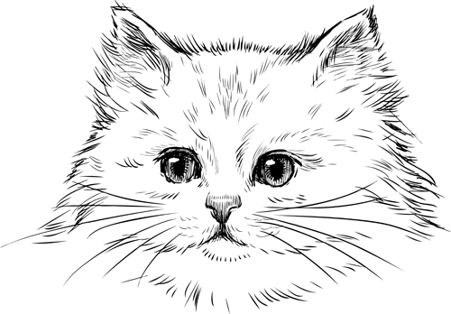 Hand drawn cats head vector set 02 head hand drawn cats   