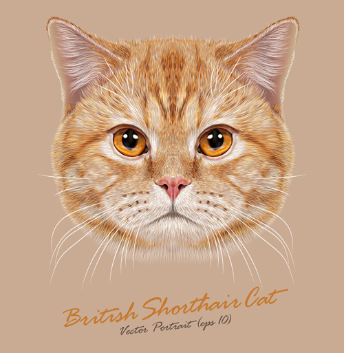 Realistic cat art background vector realistic cat background   