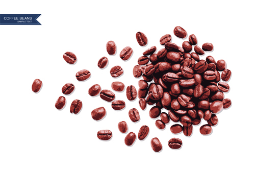 Coffee beans with white background vector 02 coffee beans coffee background vector background   