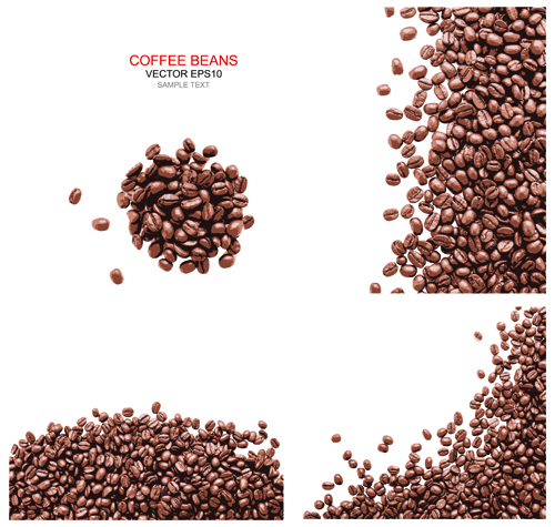 Coffee beans with white background vector 03 coffee beans coffee beans background vector   