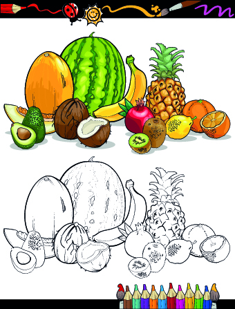 Color with sketch Fruit and vegetables vector 04 vegetables vegetable sketch fruit color   