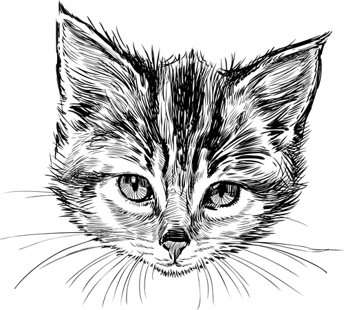 Hand drawn cats head vector set 05 head hand drawn cats   