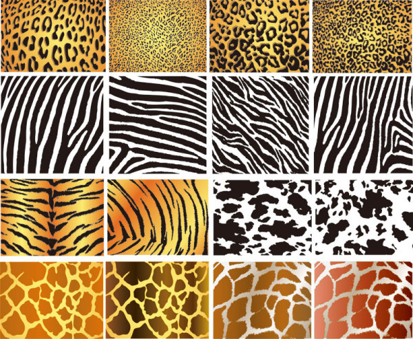 Set of Leopard Pattern vector 01 pattern vector leopard   