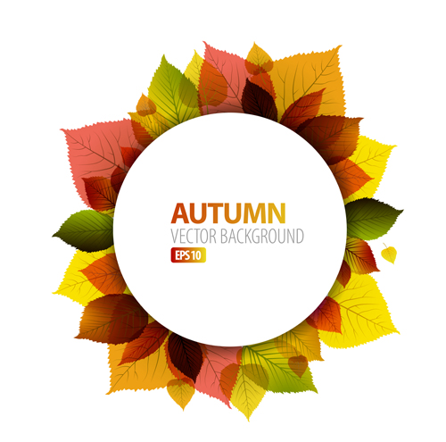 Autumn leaves frame vector background leave frame background autumn   