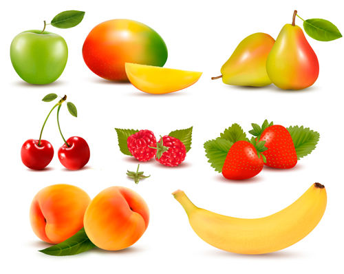 Various Fresh fruits design vector 04 Various fruits fruit fresh   