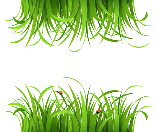 Plant and spring design vector 07 spring plant   