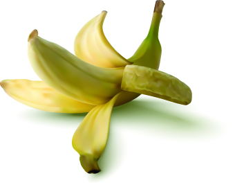 Realistic banana design vector illustration vector illustration vector realistic banana   