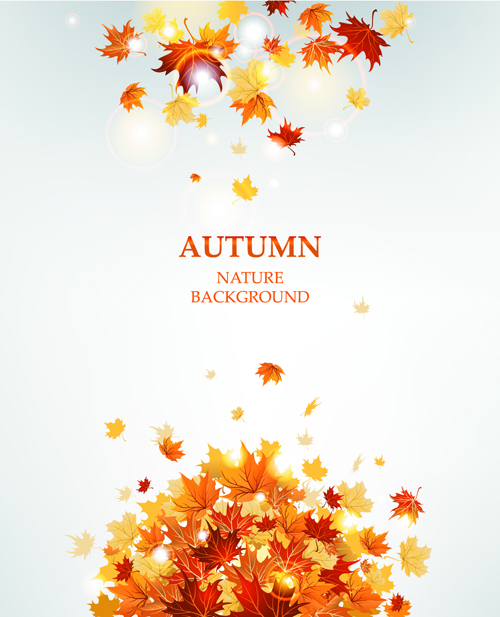 Bright autumn leaves vector backgrounds 10 Vector Background backgrounds background autumn leaves   
