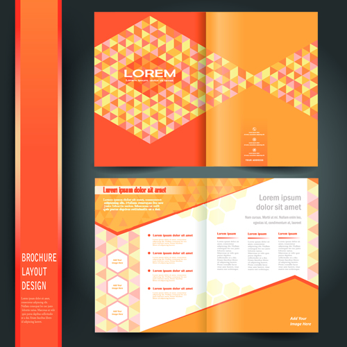 Business brochure cover layout design vector material 02 vector material material layout design layout business   