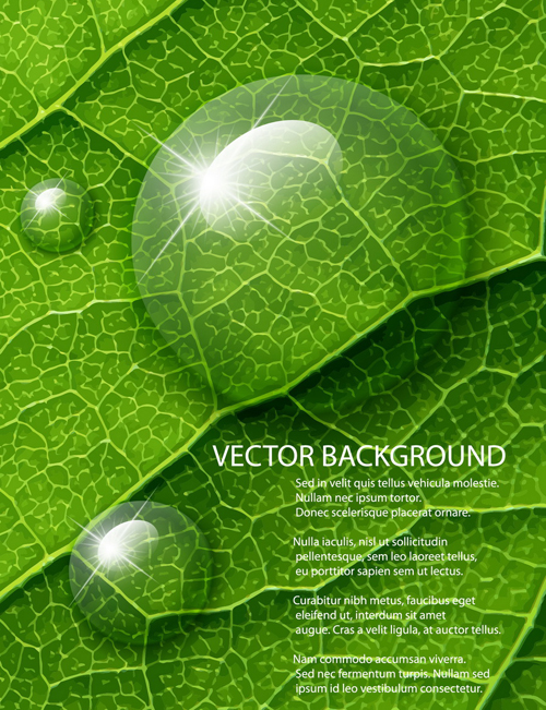 Shiny Green leaves background design vector 04 shiny leaves leave green   