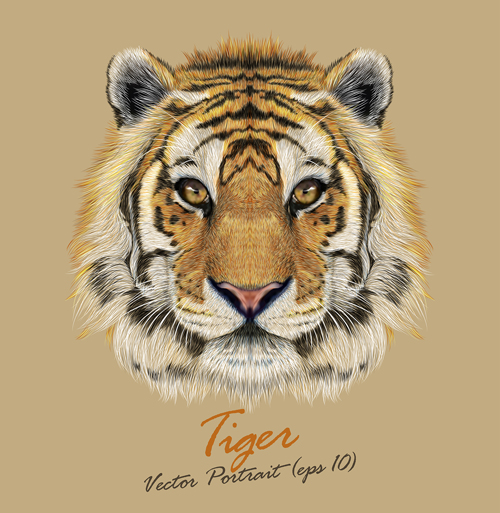 Realistic tiger art background vector tiger realistic background   