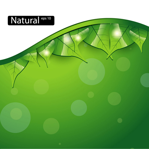 Shiny Green leaves background design vector 03 shiny leaves leave green   