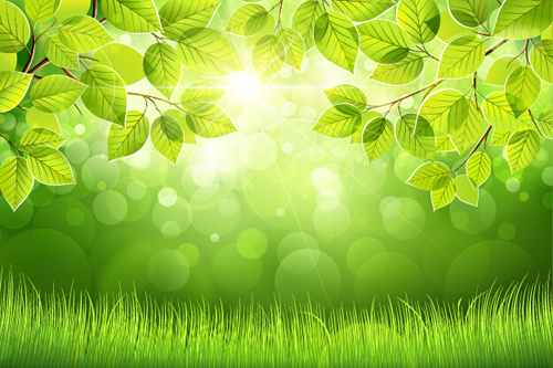 Spring sunlight with green leaves background vector 02 sunlight leaves green leaves background   