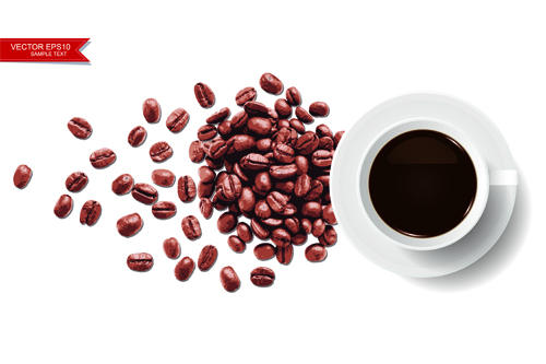 Coffee beans with white background vector 01 white coffee beans coffee background   