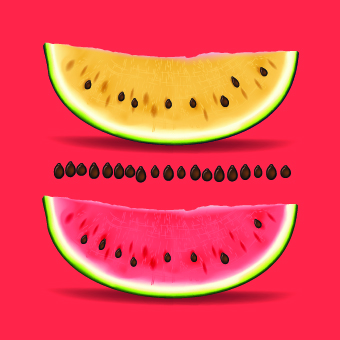 Realistic watermelon elements vector watermelon realistic elements element   