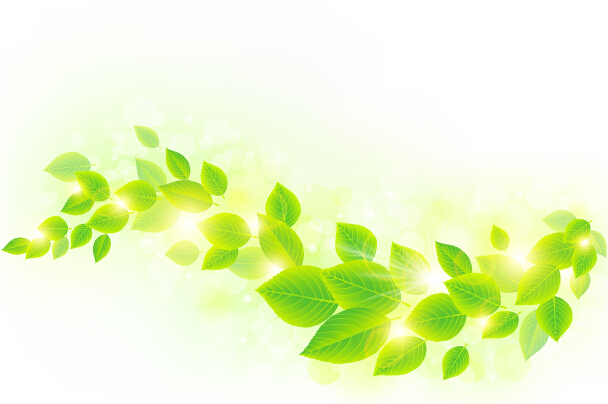 Spring sunlight with green leaves background vector 04 sunlight spring leaves background green leaves   