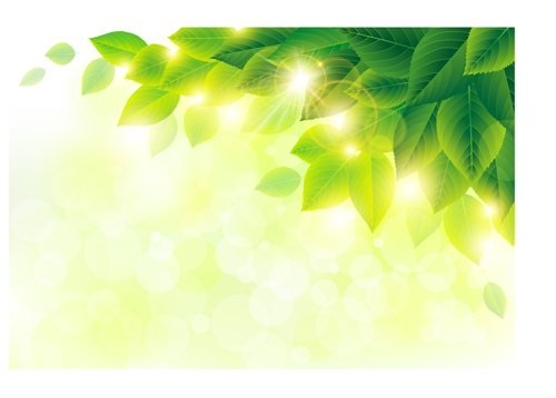 Spring sunlight with green leaves background vector 01 sunlight spring leaves background green leaves background   