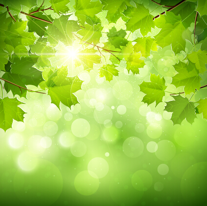 Spring sunlight with green leaves background vector 03 sunlight spring leaves background leaves green leaves background   