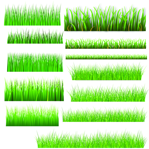 Vector Green Grass Elements set 04 green grass green grass elements element   