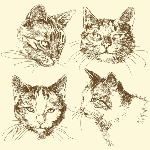 Hand drawn cat head vector material head hand drawn hand cat   