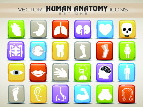 Set of Different Medical icons vector 03 medical icon different   