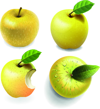 Fresh Apples creative illustration vector 02 illustration fresh apples apple   