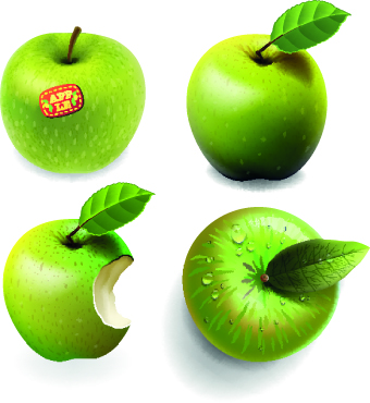 Fresh Apples creative illustration vector 01 illustration fresh creative apples apple   