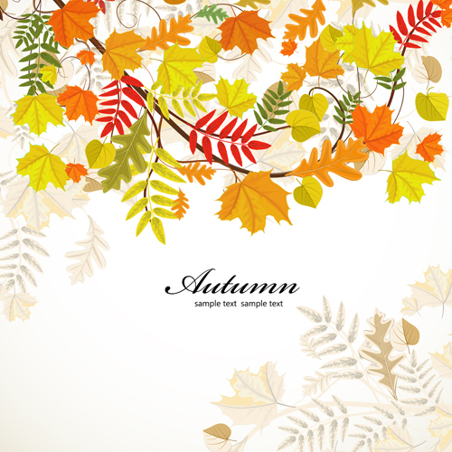 Colored autumn leaves backgrounds vector backgrounds autumn leaves autumn   