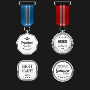 Gorgeous medal award vector 04 medal gorgeous award   