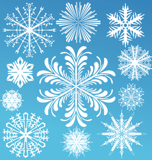 Different Snowflake elements vector graphics 02 snowflake elements element   