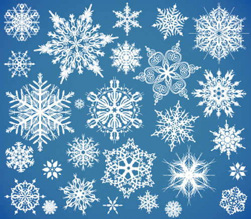 Different Snowflake elements vector graphics 01 snowflake elements element   