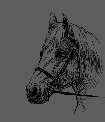 Hand drawn horse vector set 04 horses horse hand-draw hand drawn   