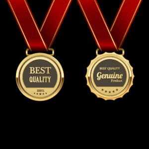 Gorgeous medal award vector 06 medal gorgeous award   