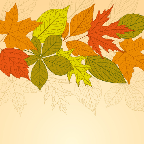 Bright autumn leaves vector backgrounds 05 Vector Background leave backgrounds background autumn leaves autumn   