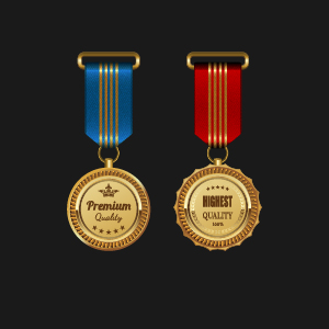 Gorgeous medal award vector 05 medal gorgeous award   