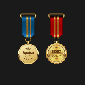 Gorgeous medal award vector 01 medal gorgeous award   