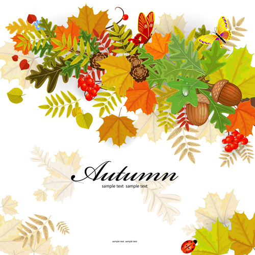 Colored autumn leaves with fructification backgrounds vector 03 fructification colored background autumn leaves autumn   