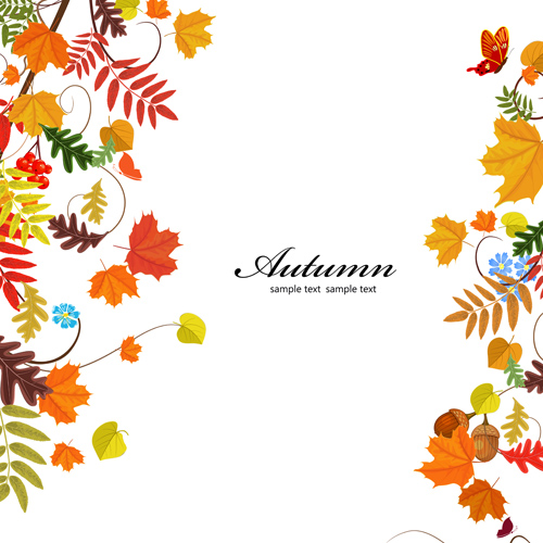 Colored autumn leaves with fructification backgrounds vector 02 fructification colored background autumn leaves autumn   