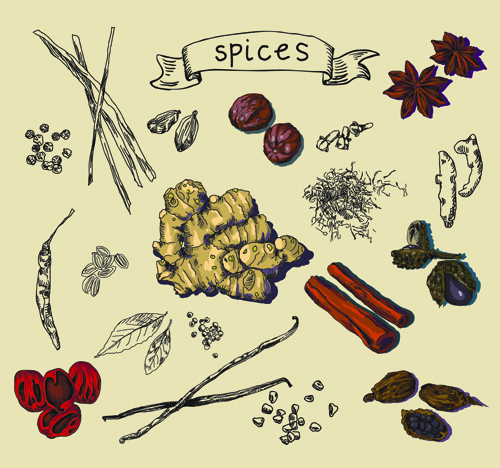 Hand drawn spices creative vector material spices material hand drawn   