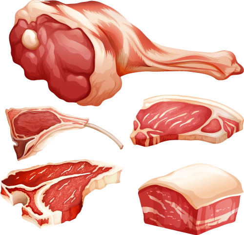 Fresh meats vector material Meats material fresh   