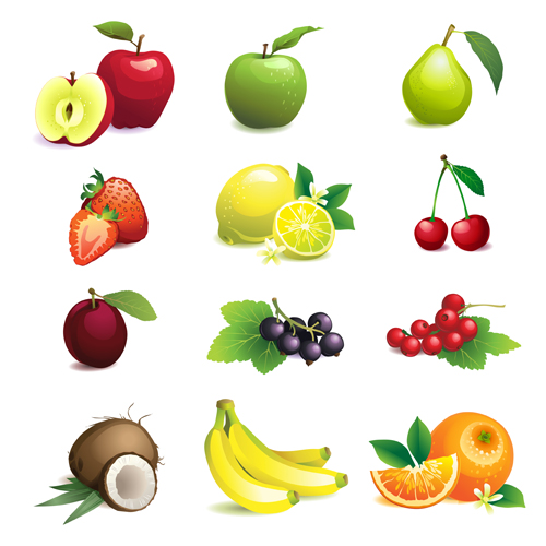 Various fresh fruit icons vector Various leaves and flowers leaves leave fruits fresh flowers flower different   