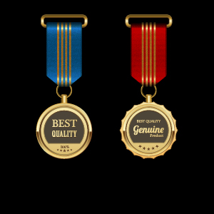 Gorgeous medal award vector 07 medal gorgeous award   