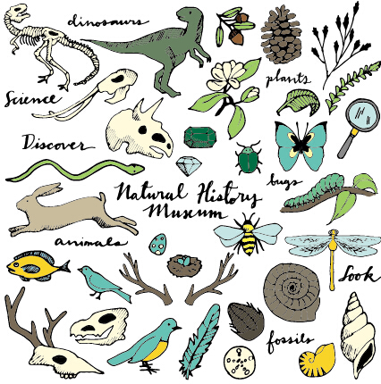 Wild animal and natural vector illustration wild natural illustration Animal   