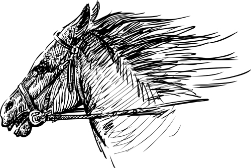Hand drawn horse vector set 03 horses horse hand-draw hand drawn   