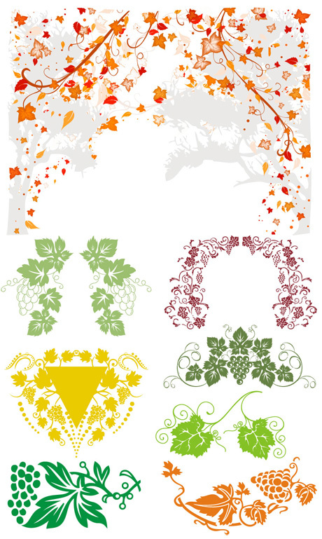 vines frame Floral vector vines leaves grapes grape vines EPS format   