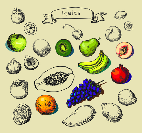 Hand drawn fruit creative vector material material hand drawn fruit creative   