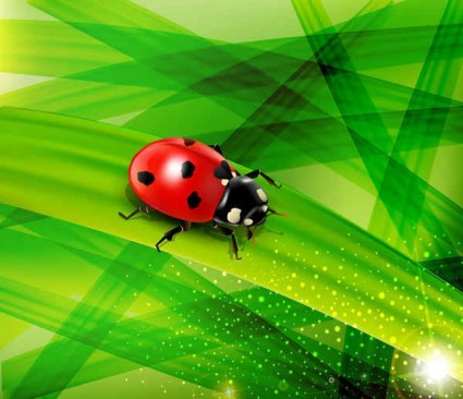 Ladybug and green nature background vector nature ladybug green background   